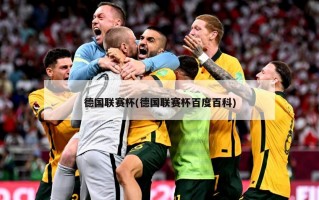 德国联赛杯(德国联赛杯百度百科)