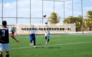 乌拉圭世界杯(乌拉圭世界杯冠军是哪一年)