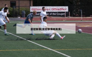 亚冠联赛(亚冠联赛精英赛)