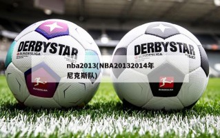nba2013(NBA20132014年尼克斯队)