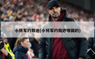 小将军约翰逊(小将军约翰逊哪国的)