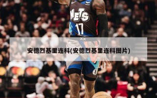 安德烈基里连科(安德烈基里连科图片)