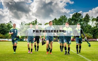 罗迪(罗迪空压机是名牌吗)