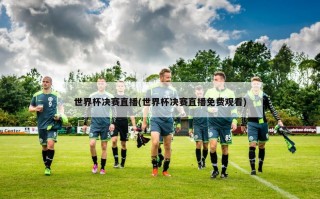 世界杯决赛直播(世界杯决赛直播免费观看)
