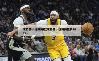 世界杯小组赛赛程(世界杯小组赛赛程表2022)