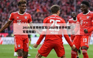 2018年世界杯冠军(2018年世界杯冠军是哪国)