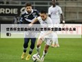 世界杯主题曲叫什么(世界杯主题曲叫什么来着)