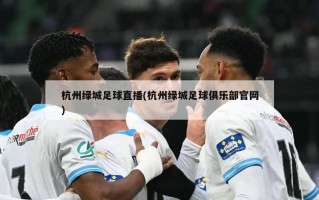 杭州绿城足球直播(杭州绿城足球俱乐部官网)