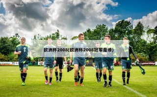欧洲杯2008(欧洲杯2008冠军是谁)