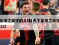 天下足球之疯狂的足球(天下足球之疯狂的足球2022)