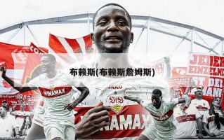 布赖斯(布赖斯詹姆斯)