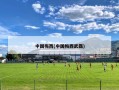 中国梅西(中国梅西武磊)
