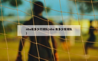 nba有多少只球队(nba 有多少支球队)