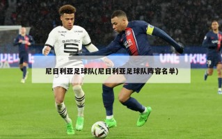 尼日利亚足球队(尼日利亚足球队阵容名单)