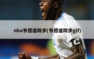 nba韦德迷踪步(韦德迷踪步gif)