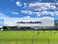 cba佛山(cba佛山龙狮队)